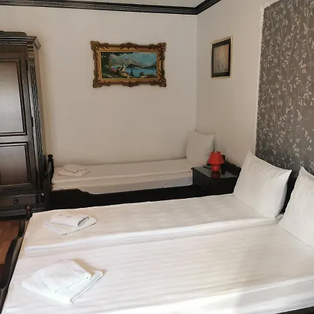 Guest house Casa Cu Cerdac