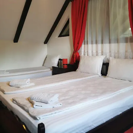 Guest house Casa Cu Cerdac Sighisoara