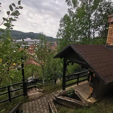 Guest house Casa Cu Cerdac *