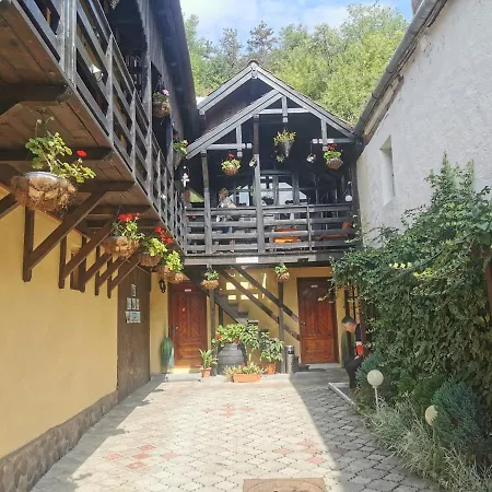 Guest house Casa Cu Cerdac Sighisoara