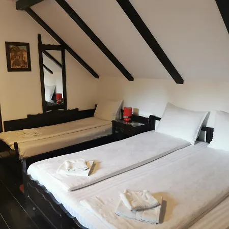 Casa Cu Cerdac Guest house
