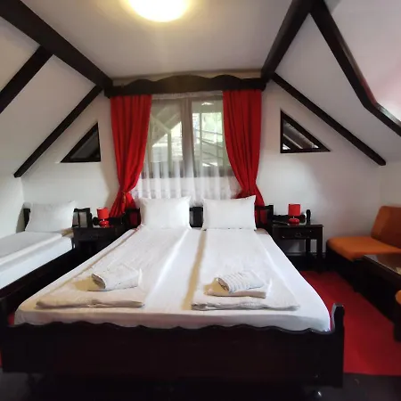 Guest house Casa Cu Cerdac *