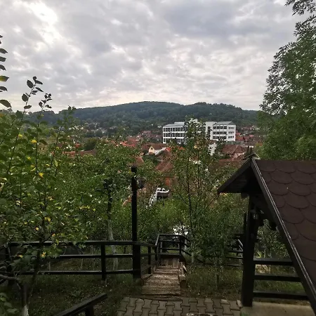 Casa Cu Cerdac Guest house *